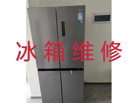 铜川专业冰箱安装